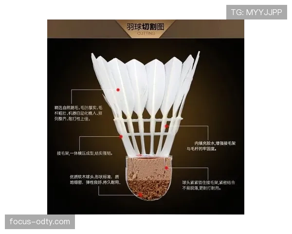 比赛用球规则详解：尺寸、材质和压力标准全解析